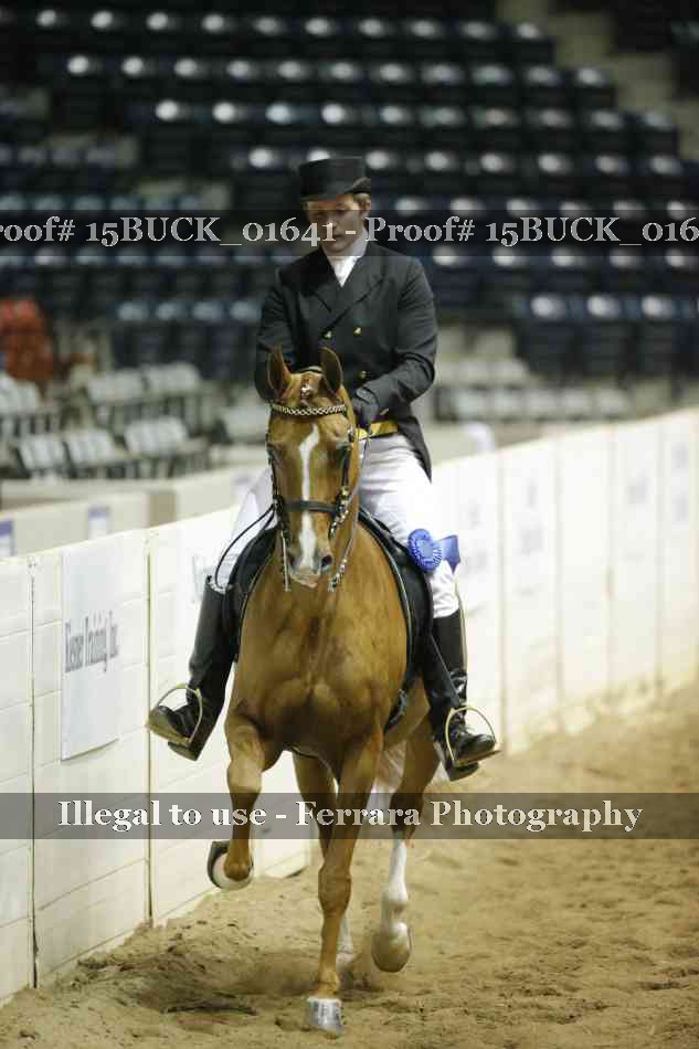 Proof Number 15BUCK_01641