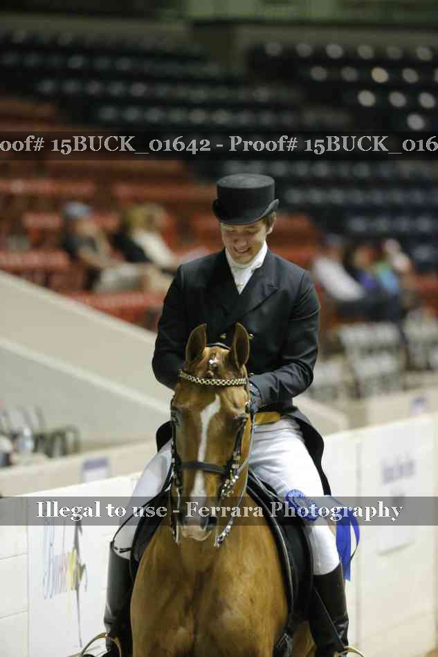 Proof Number 15BUCK_01642