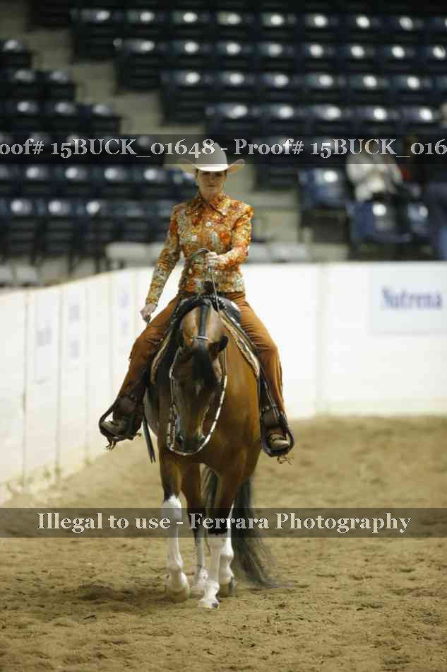 Proof Number 15BUCK_01648
