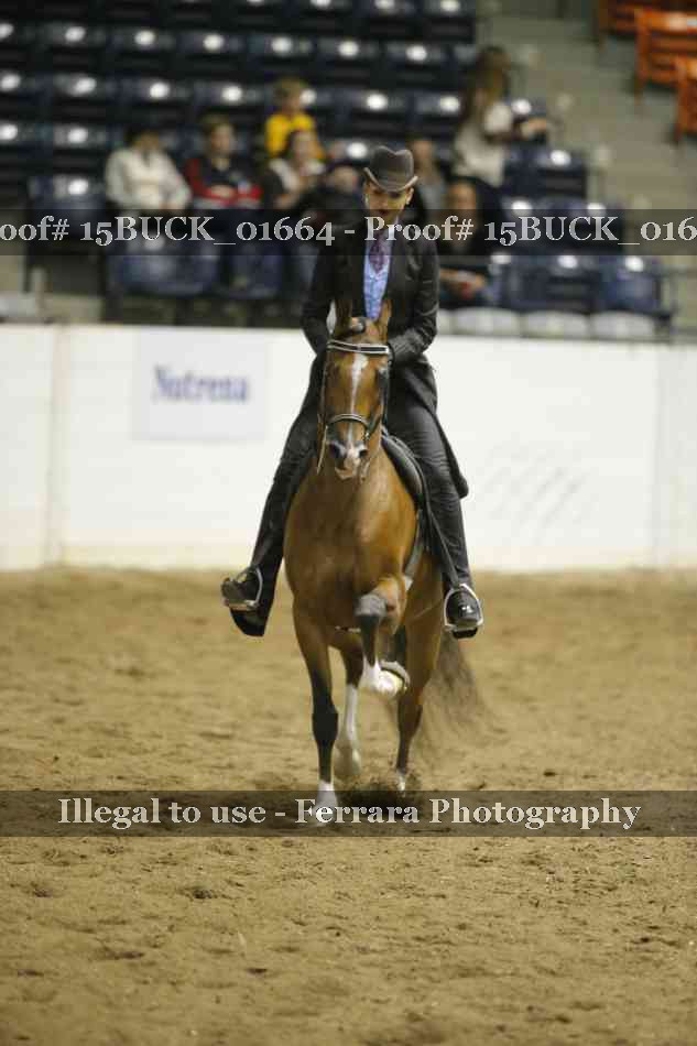 Proof Number 15BUCK_01664