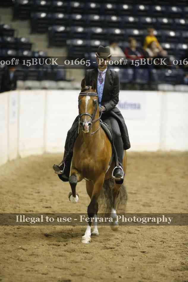 Proof Number 15BUCK_01665