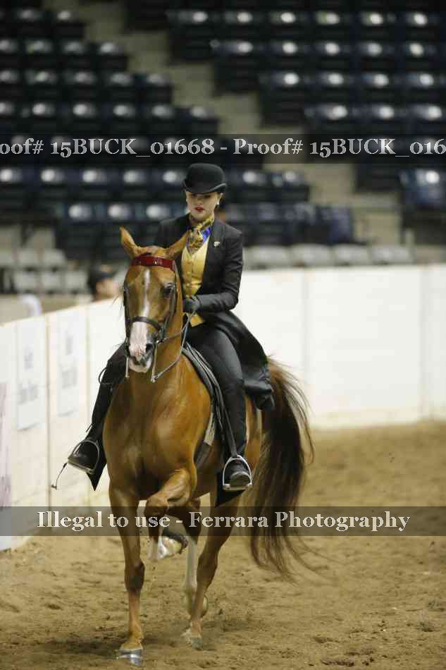 Proof Number 15BUCK_01668