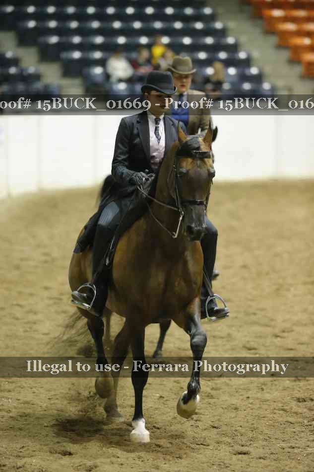 Proof Number 15BUCK_01669