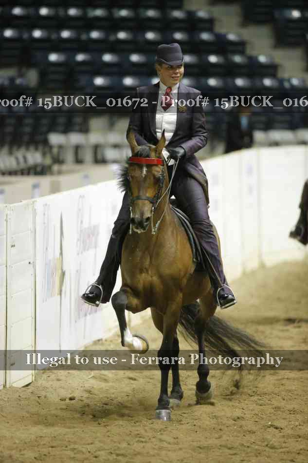 Proof Number 15BUCK_01672