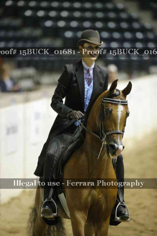 Proof Number 15BUCK_01681