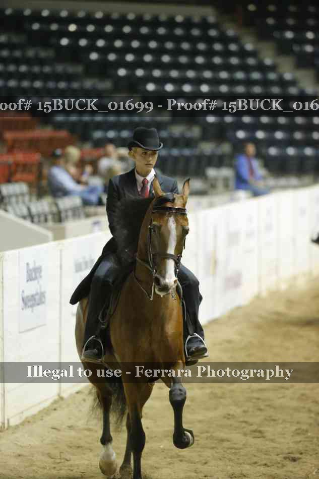 Proof Number 15BUCK_01699