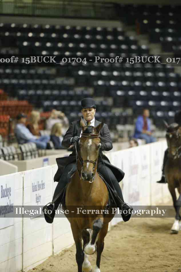 Proof Number 15BUCK_01704