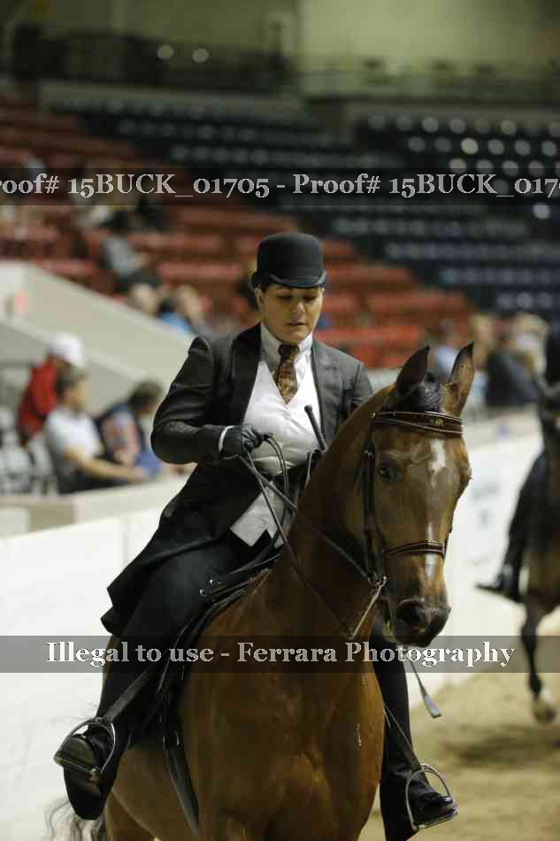 Proof Number 15BUCK_01705