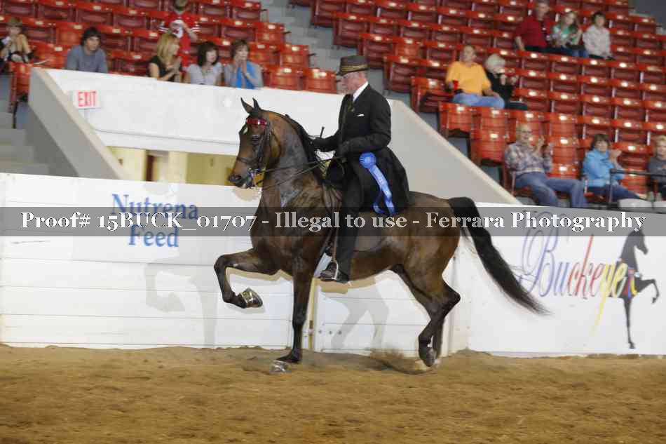 Proof Number 15BUCK_01707