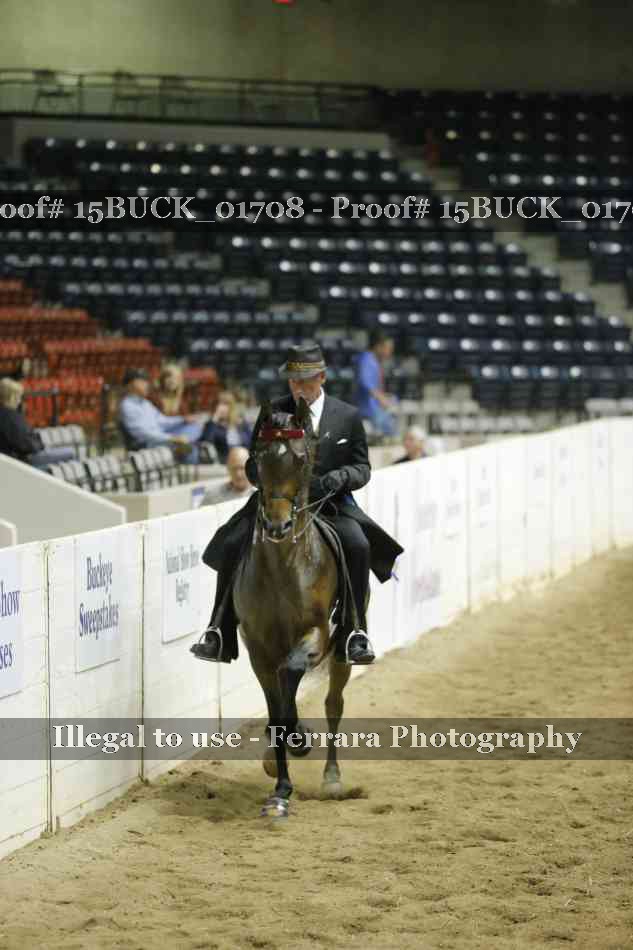 Proof Number 15BUCK_01708