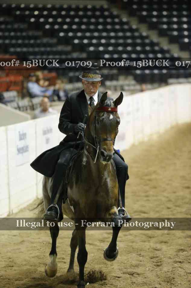Proof Number 15BUCK_01709