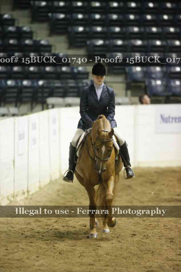 Proof Number 15BUCK_01740