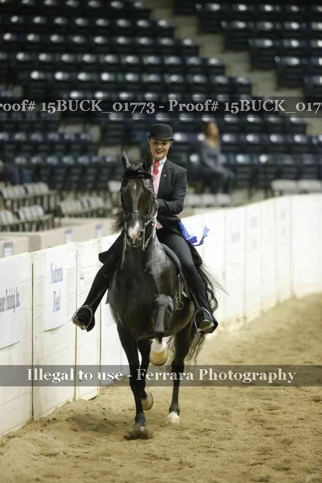 Proof Number 15BUCK_01773