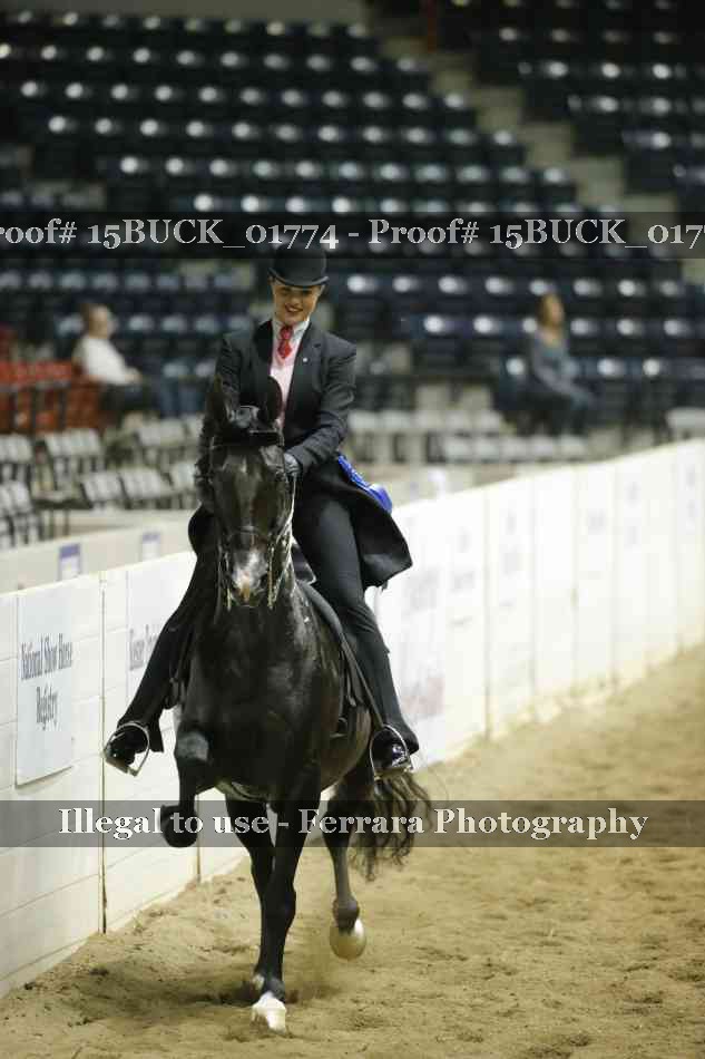 Proof Number 15BUCK_01774