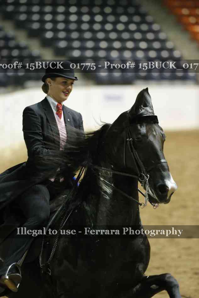 Proof Number 15BUCK_01775