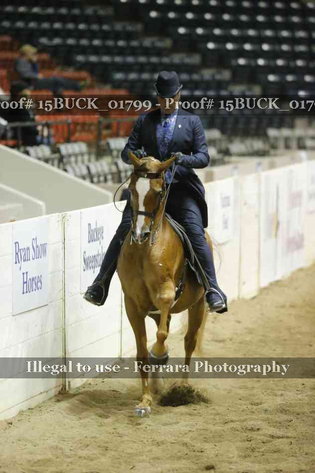 Proof Number 15BUCK_01799