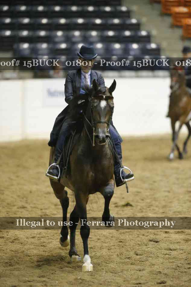 Proof Number 15BUCK_01801
