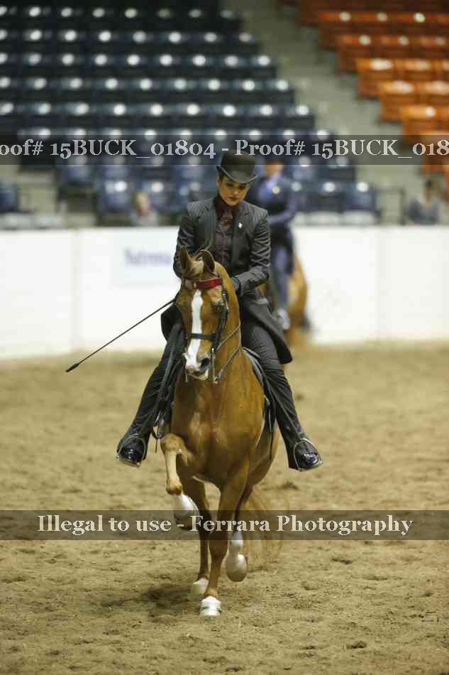 Proof Number 15BUCK_01804
