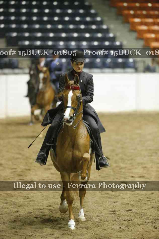 Proof Number 15BUCK_01805