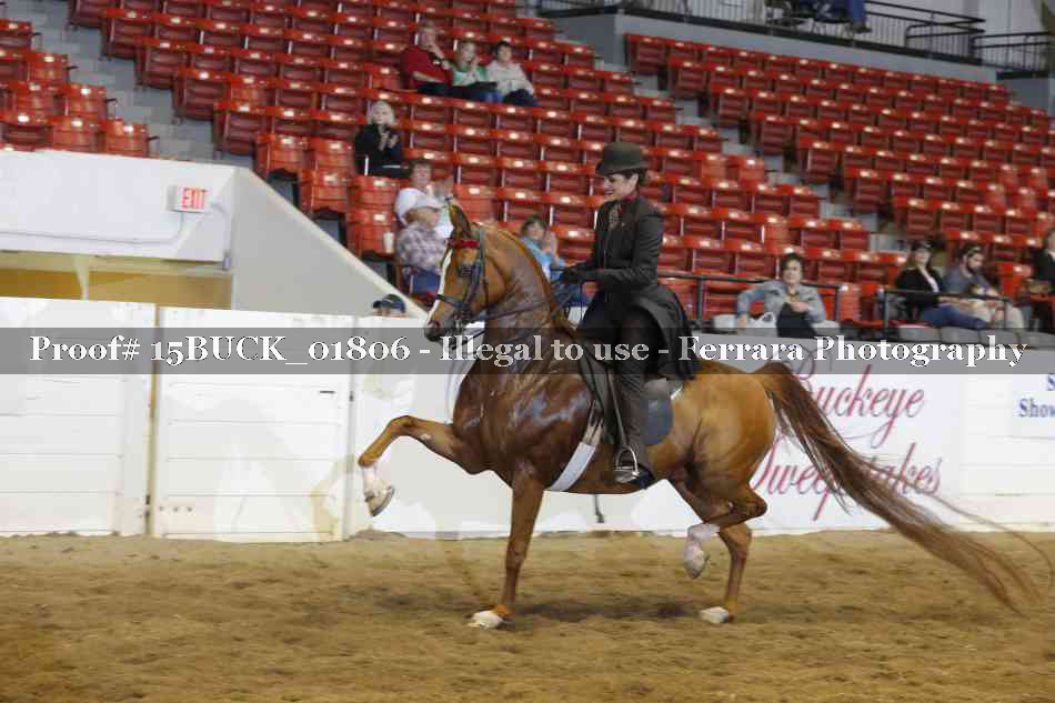 Proof Number 15BUCK_01806
