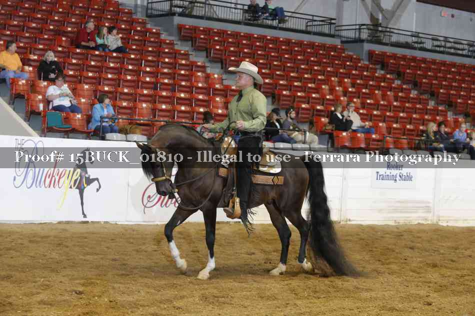 Proof Number 15BUCK_01810