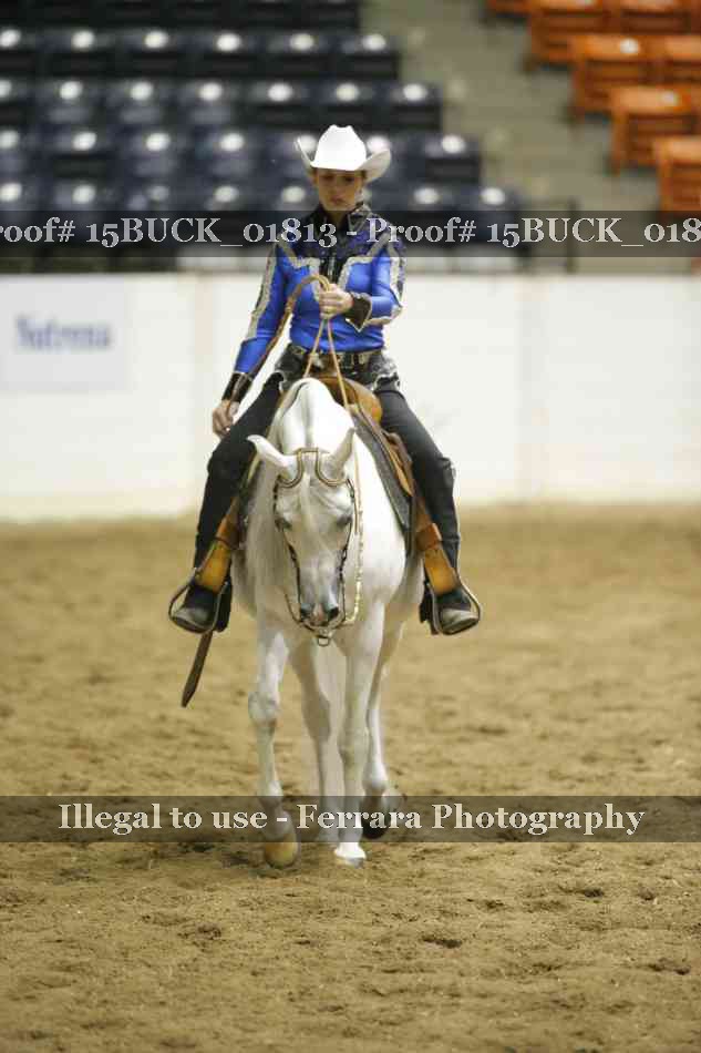 Proof Number 15BUCK_01813