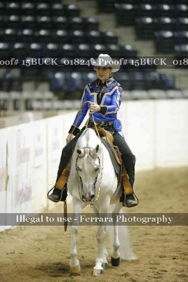 Proof Number 15BUCK_01824