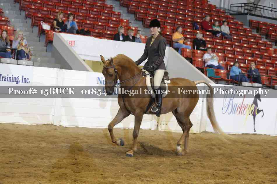 Proof Number 15BUCK_01854