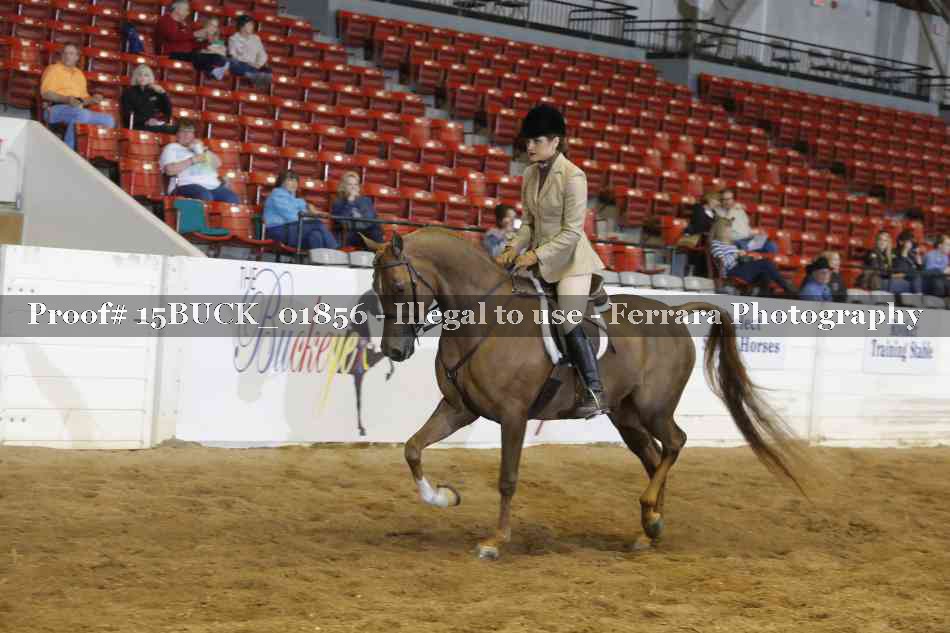Proof Number 15BUCK_01856
