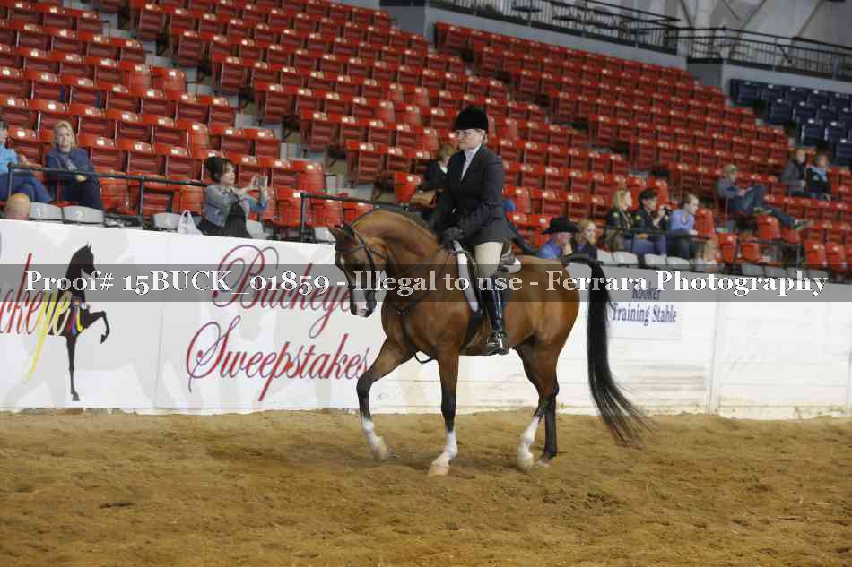 Proof Number 15BUCK_01859