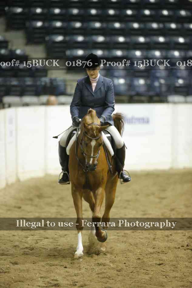 Proof Number 15BUCK_01876