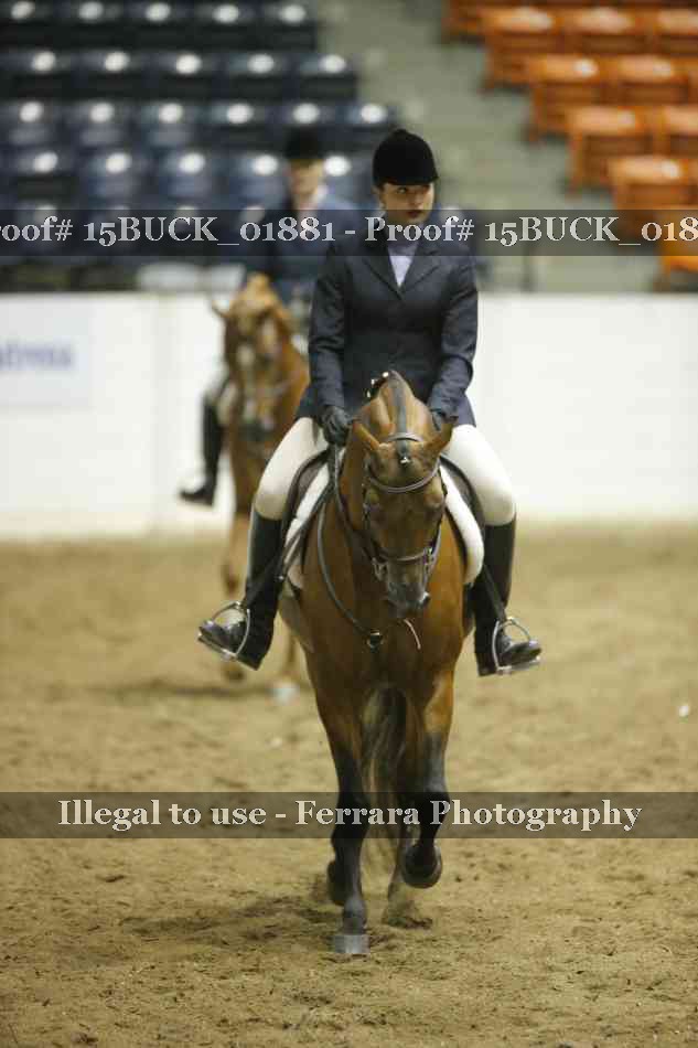 Proof Number 15BUCK_01881