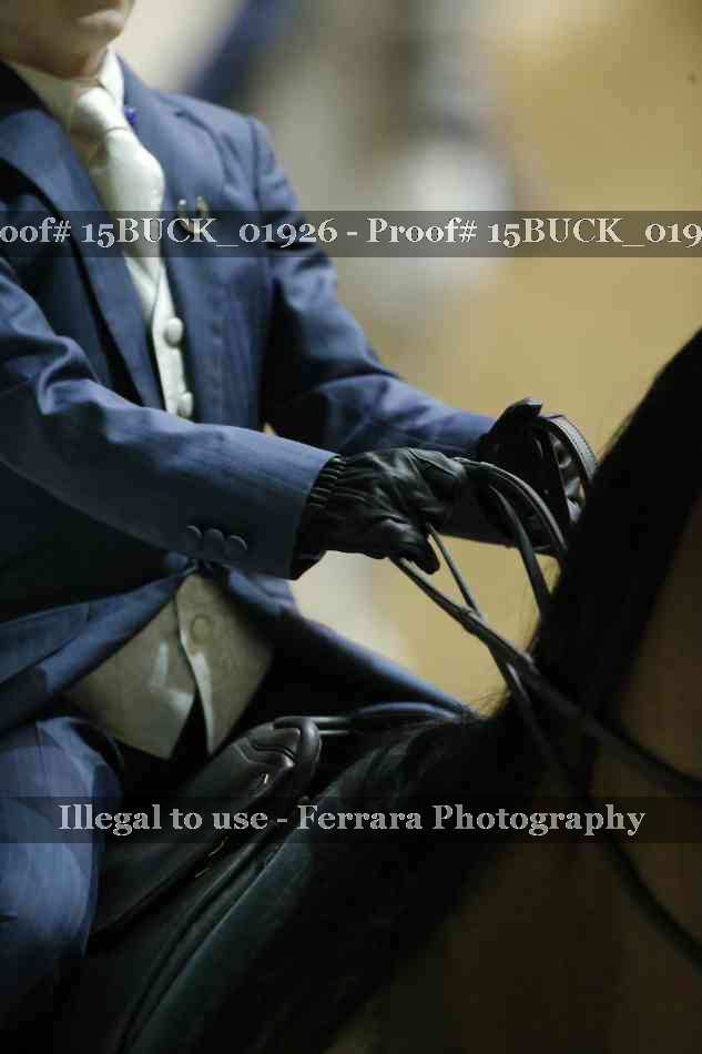 Proof Number 15BUCK_01926
