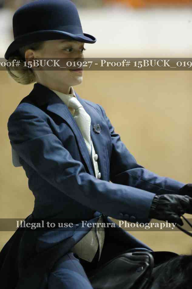 Proof Number 15BUCK_01927