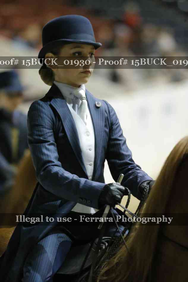 Proof Number 15BUCK_01930