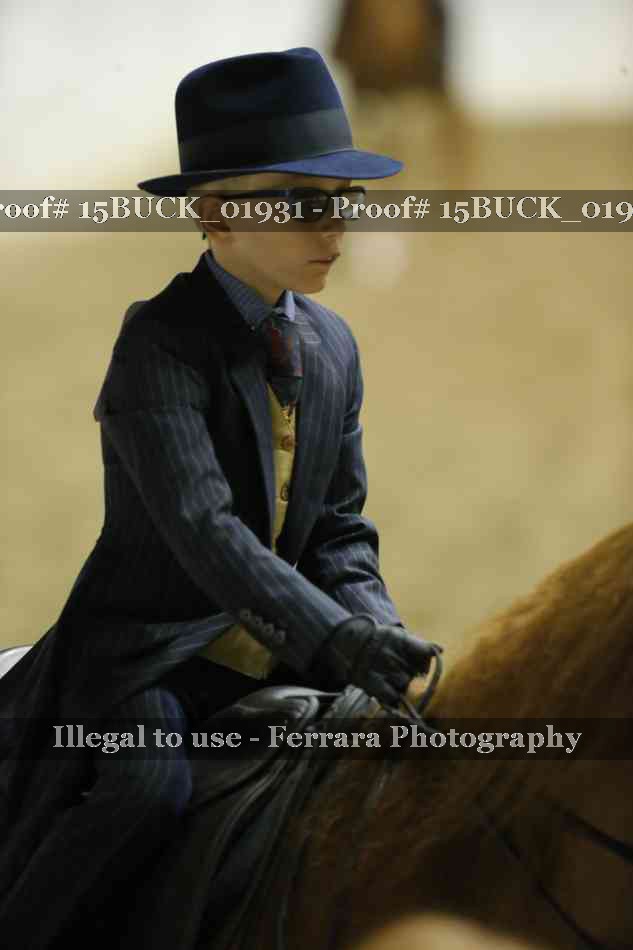 Proof Number 15BUCK_01931