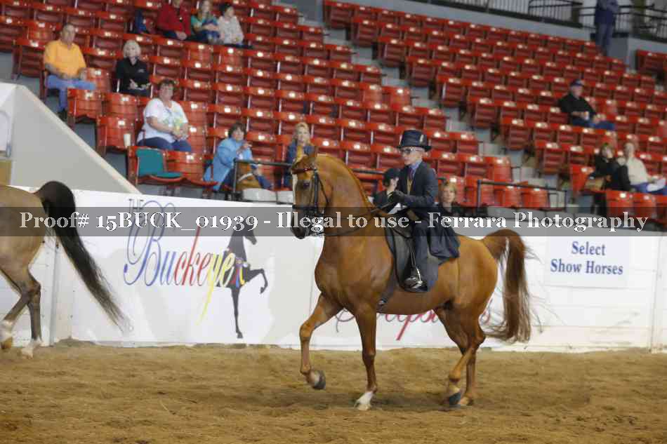 Proof Number 15BUCK_01939
