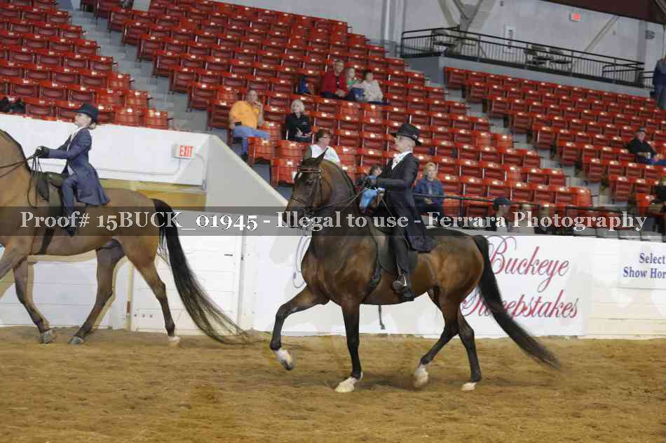 Proof Number 15BUCK_01945