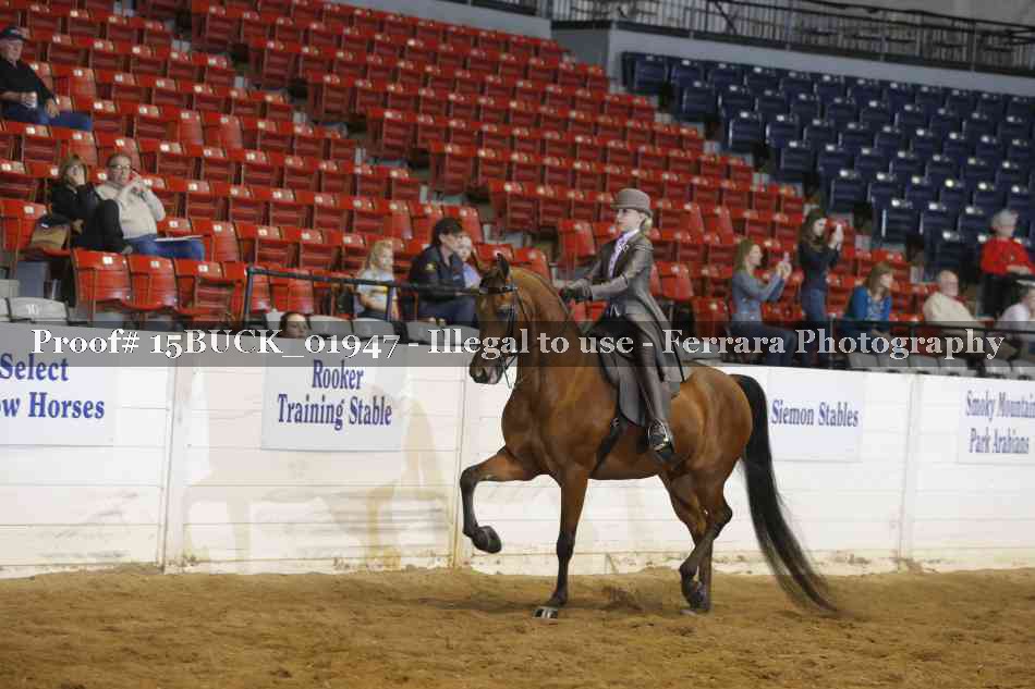 Proof Number 15BUCK_01947