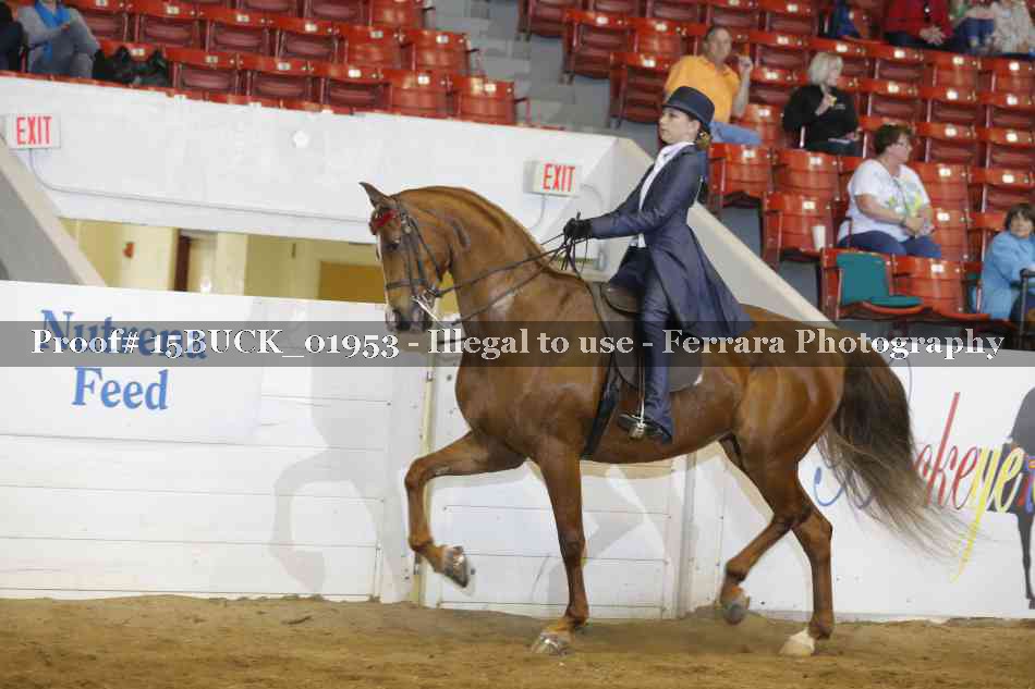 Proof Number 15BUCK_01953