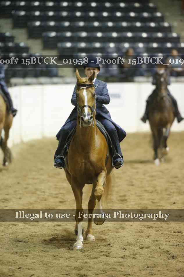 Proof Number 15BUCK_01958