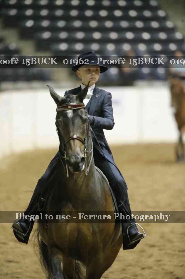 Proof Number 15BUCK_01962