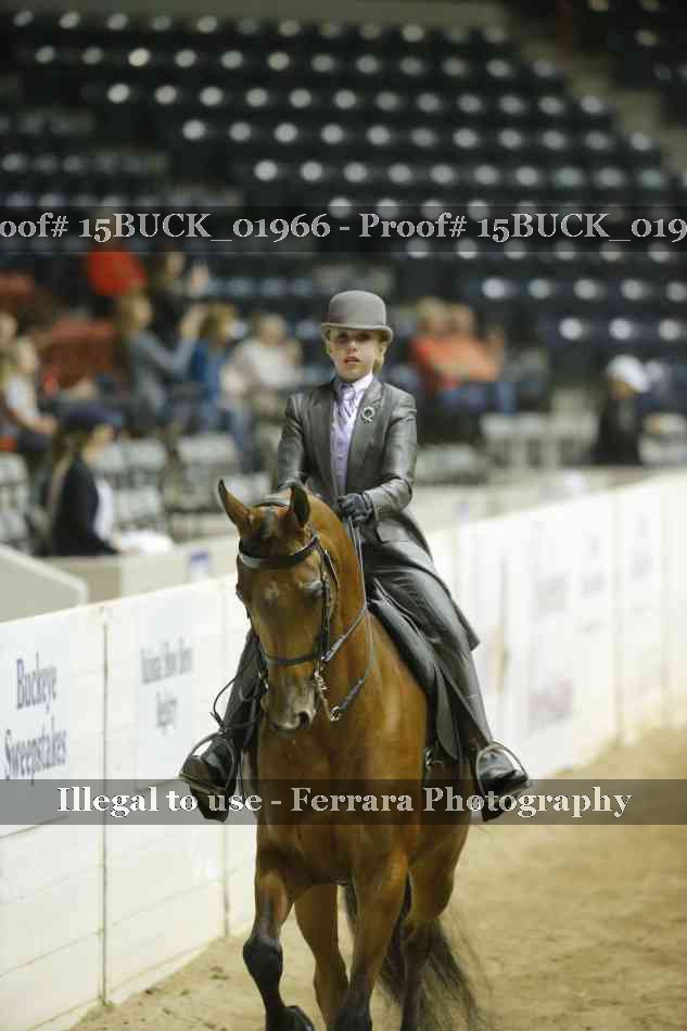 Proof Number 15BUCK_01966