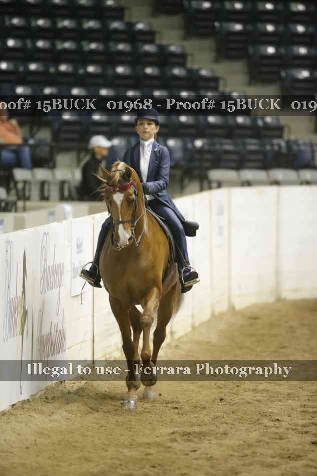 Proof Number 15BUCK_01968