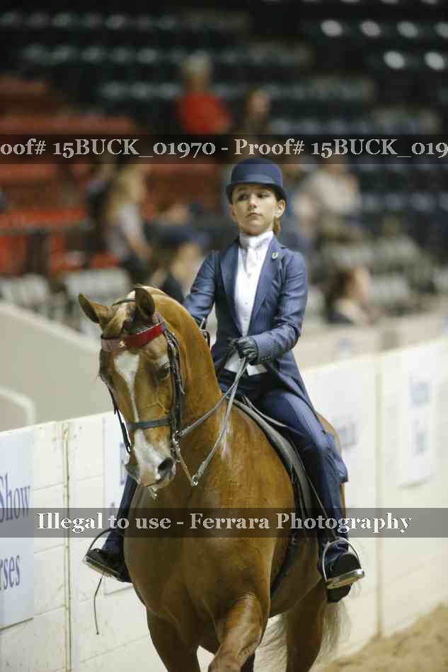 Proof Number 15BUCK_01970