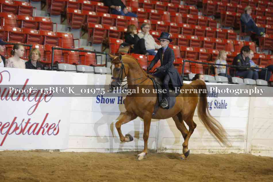 Proof Number 15BUCK_01975