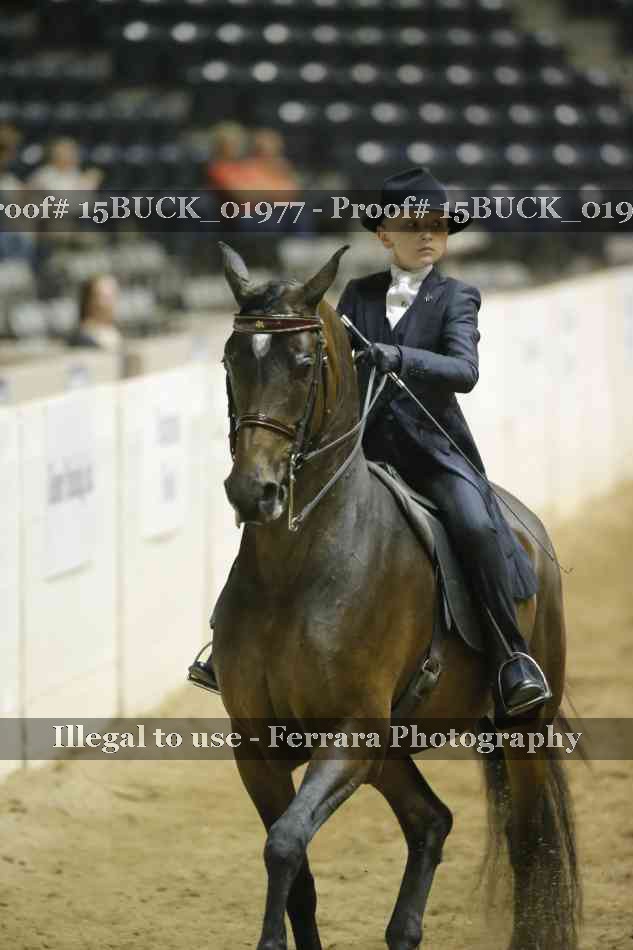 Proof Number 15BUCK_01977