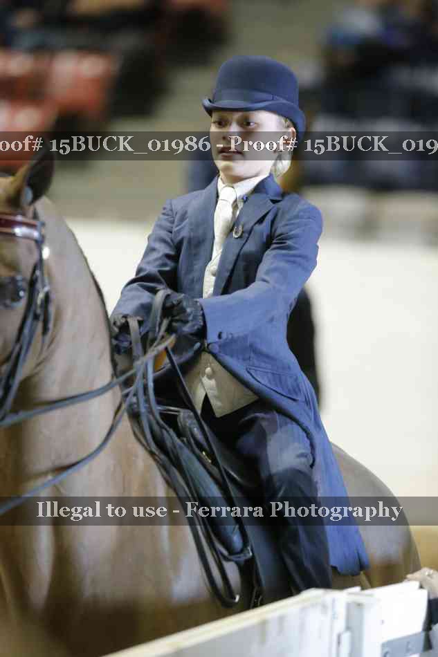 Proof Number 15BUCK_01986
