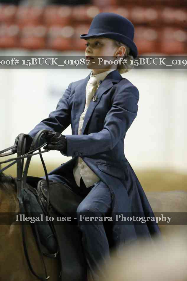 Proof Number 15BUCK_01987