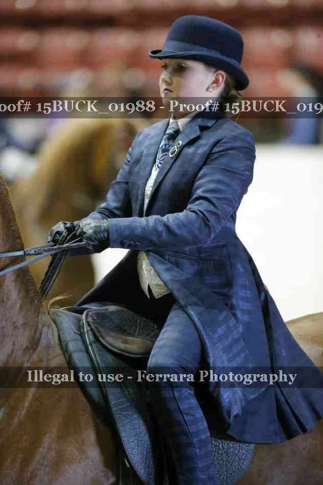 Proof Number 15BUCK_01988